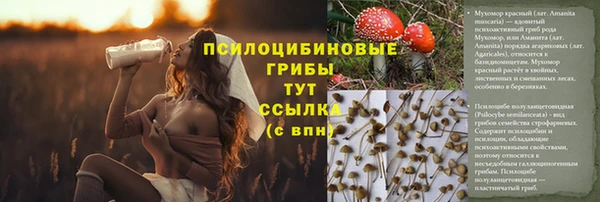 не бодяженный Верея