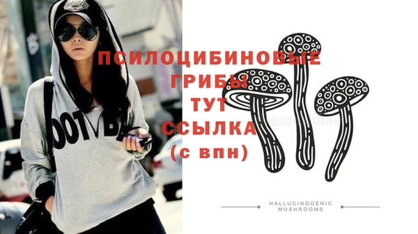 спайс Верхний Тагил