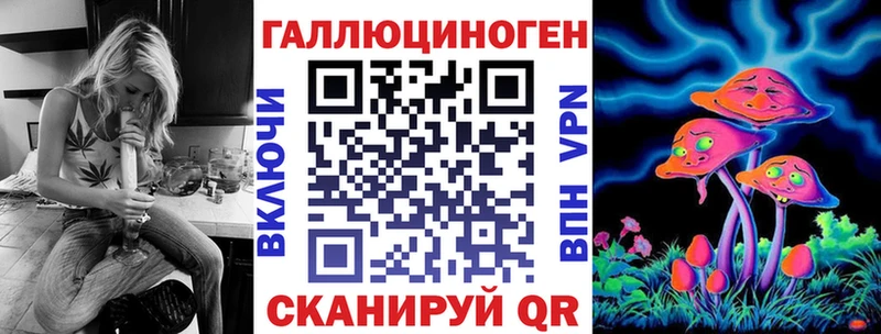 где можно купить   Мончегорск  Галлюциногенные грибы Psilocybine cubensis 